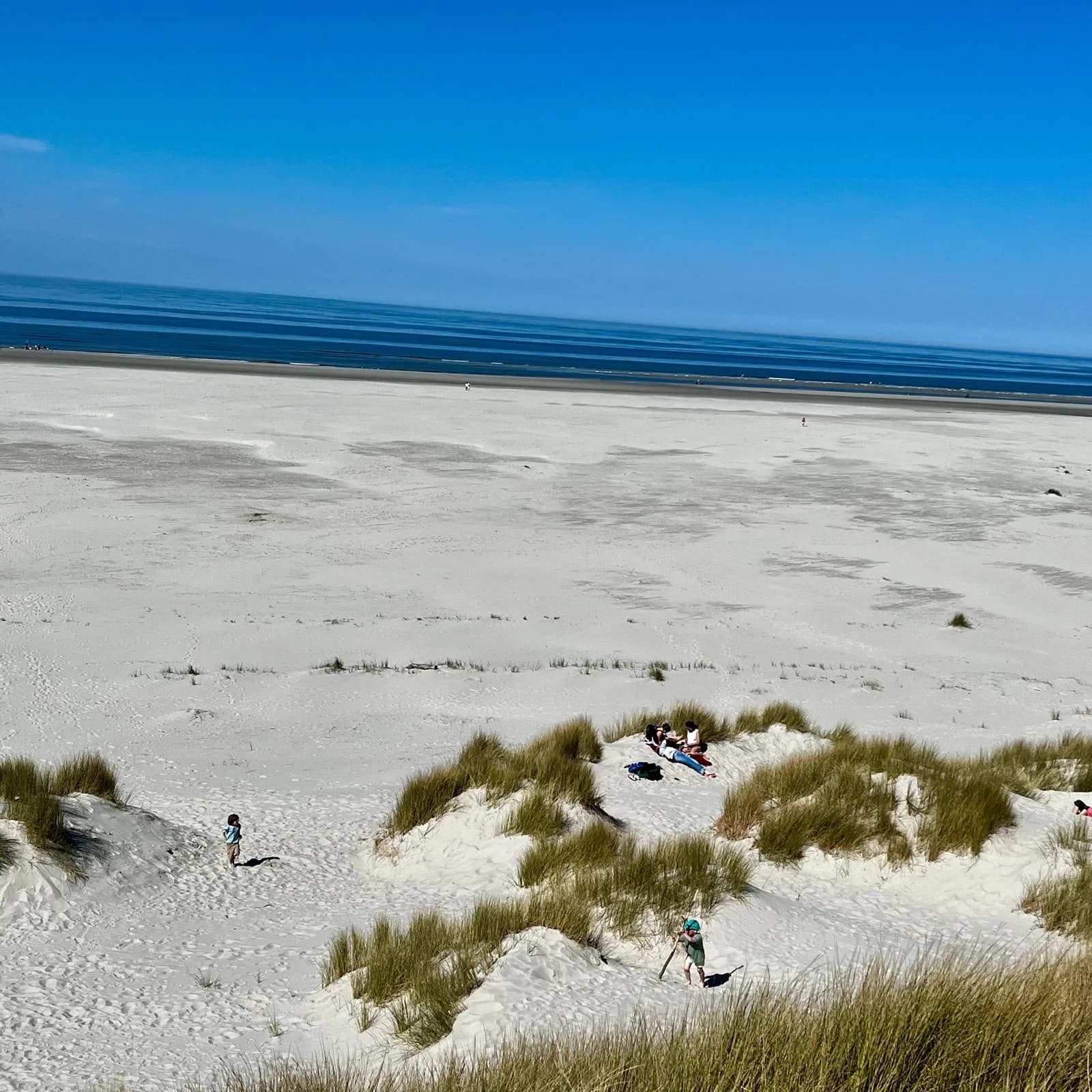 Owner-photographed wide sandy Dutch North Sea beach and dunes