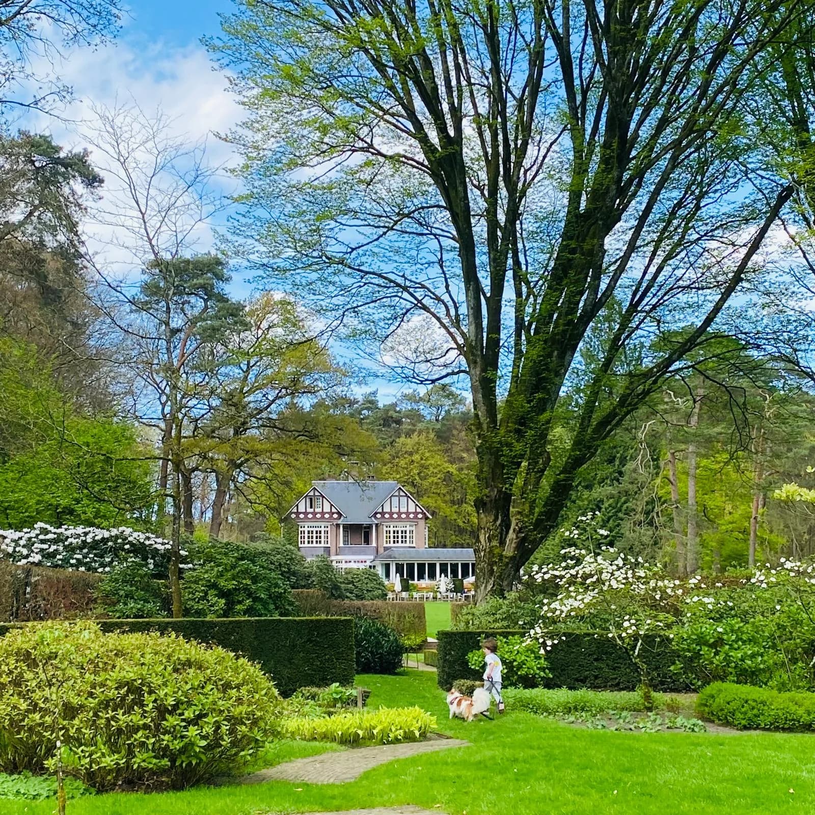 A Dutch home nestled among mature garden trees