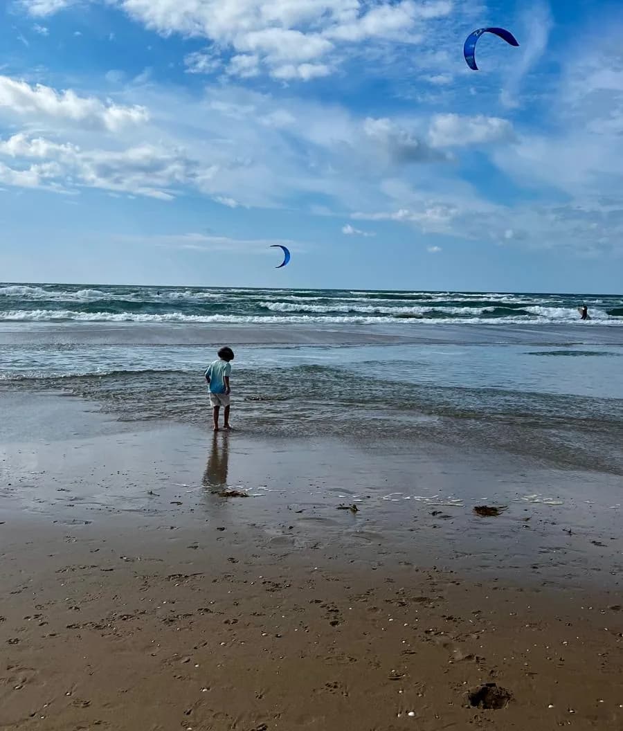 North Sea beach and kitesurfers on a personalized Dutch Discovery Tour