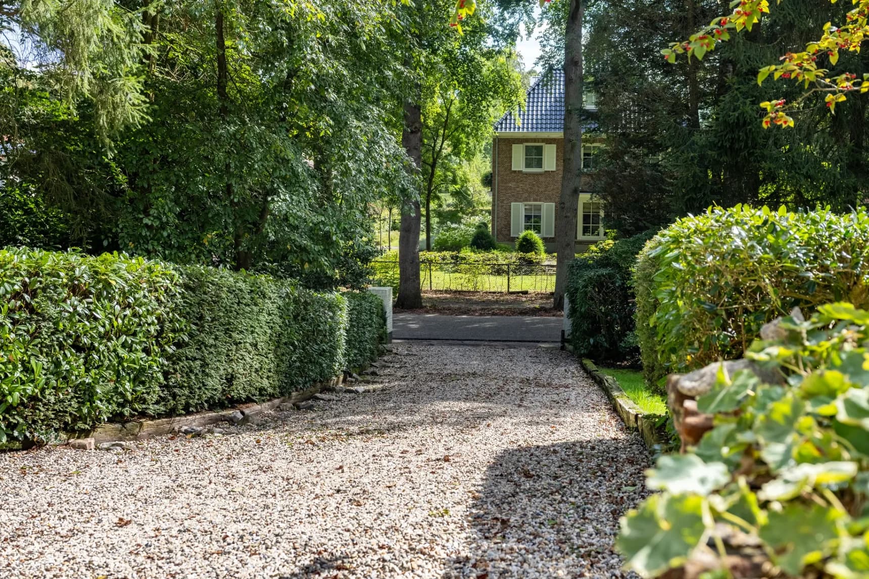 A peaceful tree-lined driveway leading towards a Dutch home
